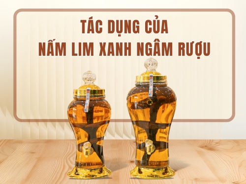 Uống thử mới biết: Tác dụng nấm Lim Xanh ngâm rượu khiến nhiều người bất ngờ